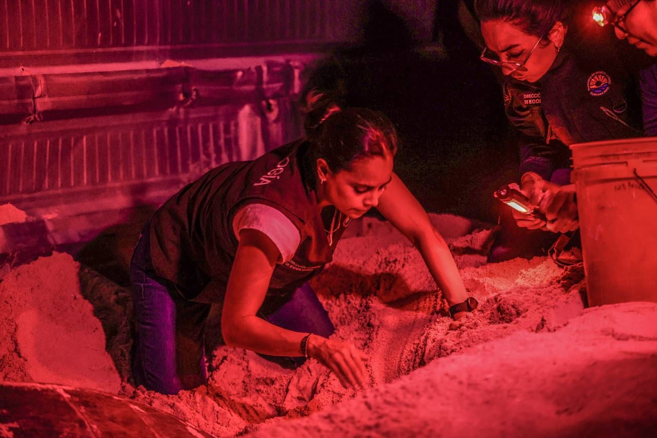 uploads/6/32/01 (178).Jpeg